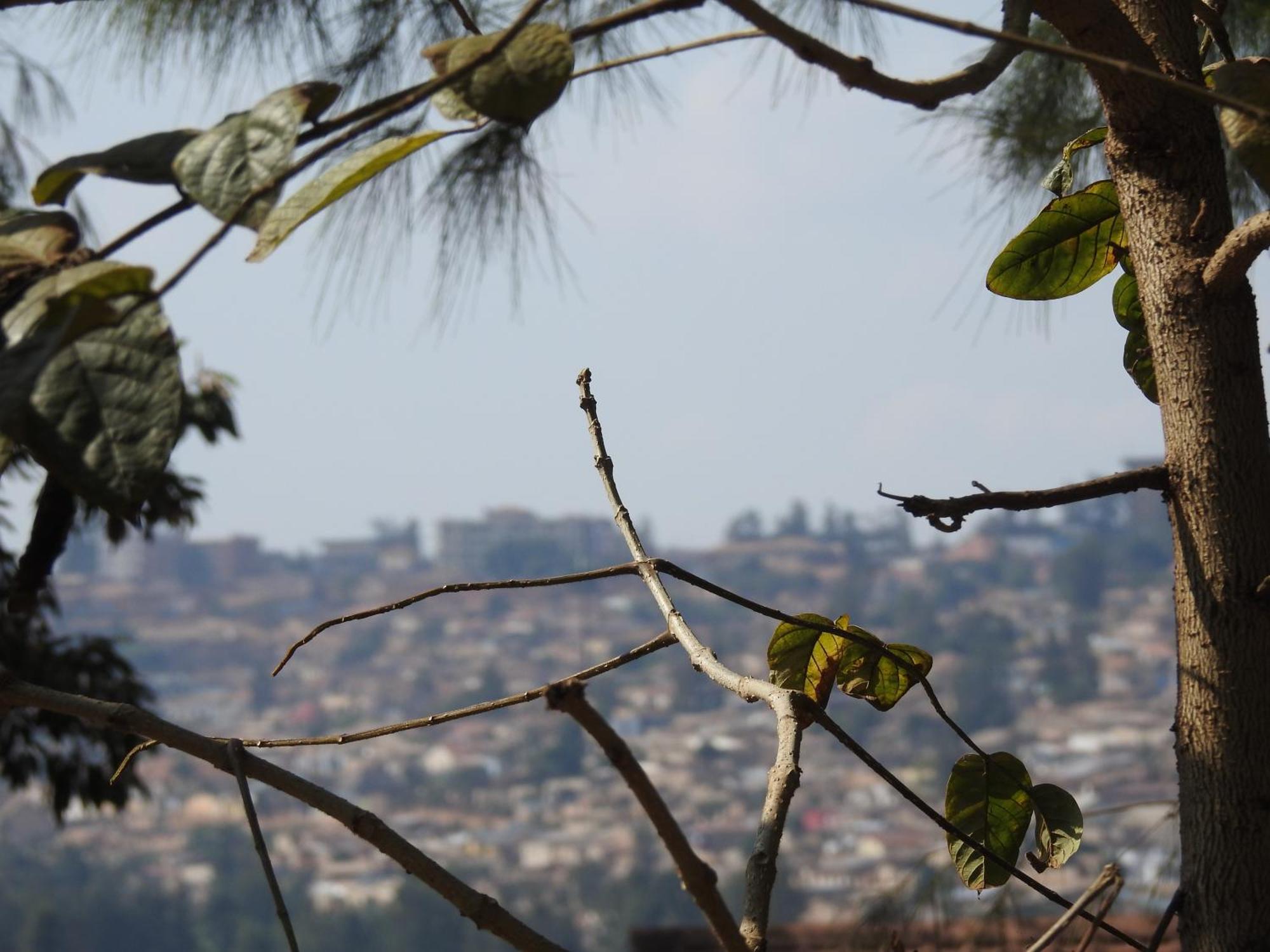 Rwandeka Lägenhet Kigali Exteriör bild